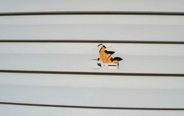Siding Hole Patching Service