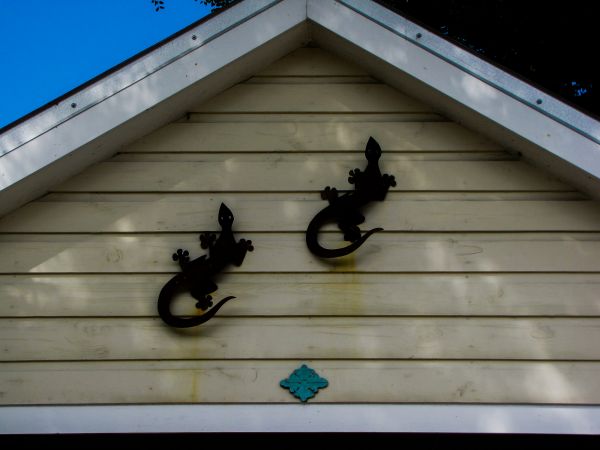 Cost of Shiplap Siding Installation in Oconomowoc